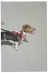 Thumbs/tn_dachsbasset.jpg