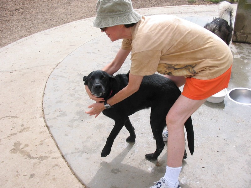 ../Images/susanblacklab.jpg