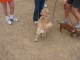 Thumbs/tn_dudley-diggety.jpg