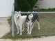 Thumbs/tn_Jonah-0001.jpg