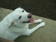 Thumbs/tn_Jonah-0008.jpg
