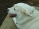 Thumbs/tn_Jonah-0009.jpg