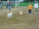 Thumbs/tn_Jonah-0010.jpg